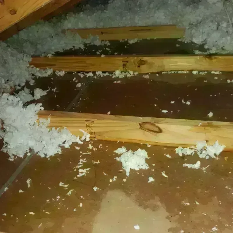 Attic Water Damage in Comal County, TX