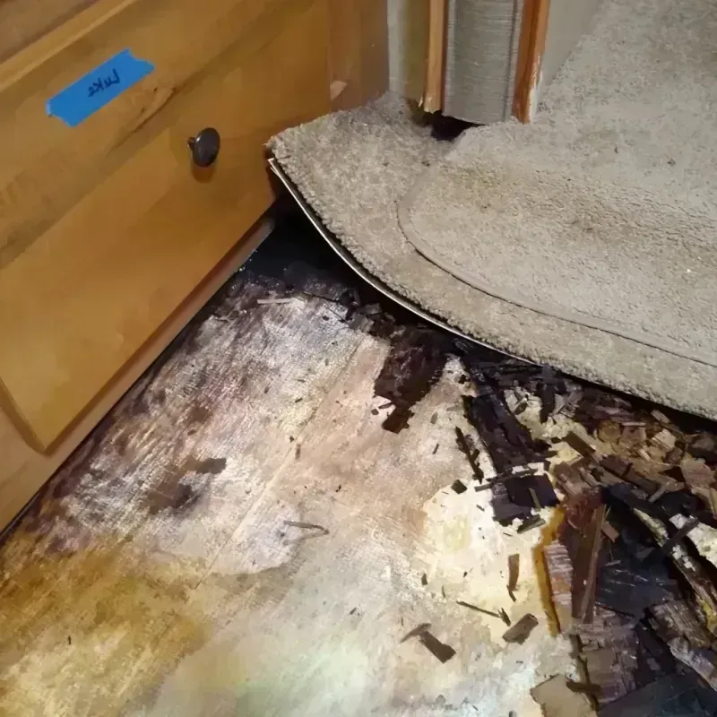 Best Wood Floor Water Damage Service in Comal County, TX